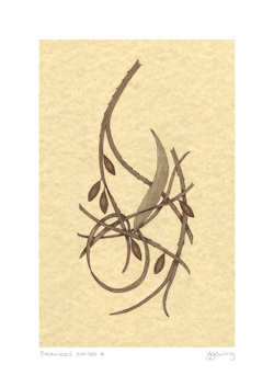 Seaweed 4